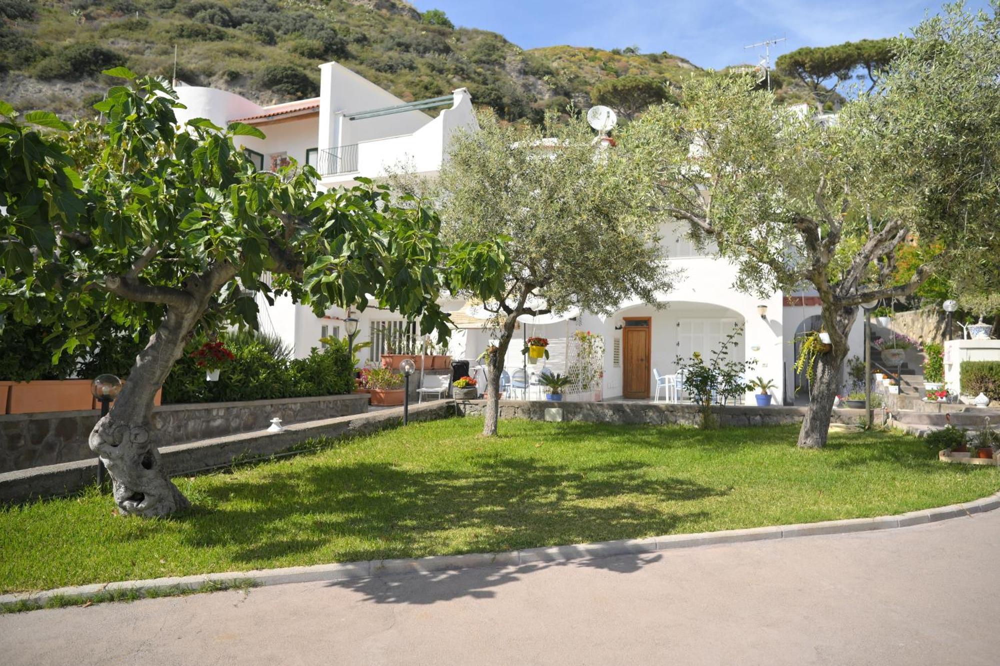 Blu Maronti Apartamento Barano dʼIschia Exterior foto